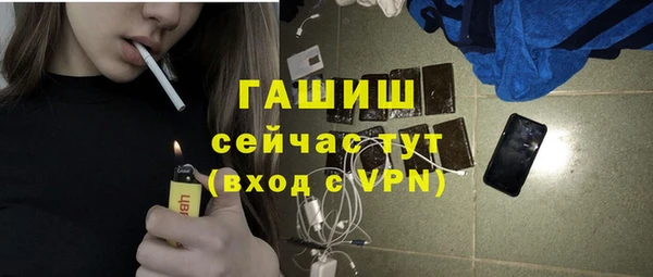 хмурый Аркадак