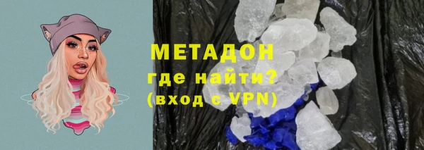 хмурый Аркадак