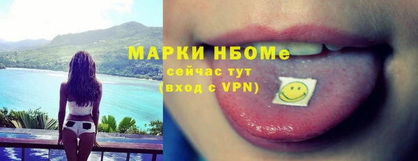 хмурый Аркадак