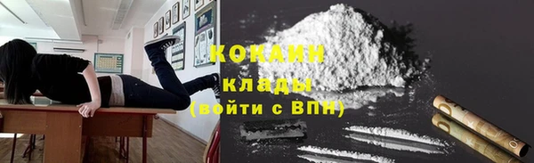 хмурый Аркадак