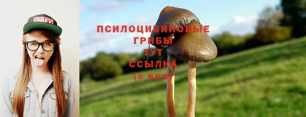 не бодяженный Армянск