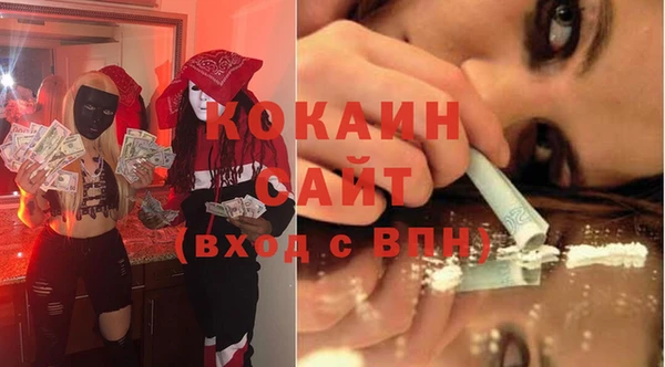 хмурый Аркадак