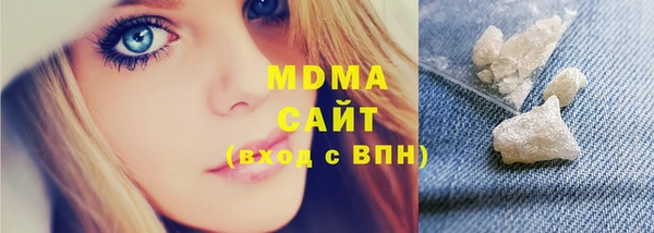 хмурый Аркадак