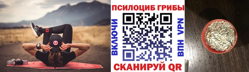 Галлюциногенные грибы MAGIC MUSHROOMS  дарк нет клад  Междуреченск 